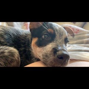 Meet your Posher, Mae